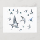 Search for swallow birds art postcards Swallows