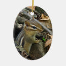Search for chipmunk christmas tree decorations Woods
