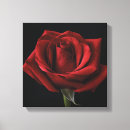 Search for red rose canvas prints Roses