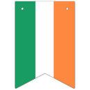 Search for st patricks day party supplies Irish