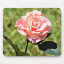 Search for perfect rose electronics Pink