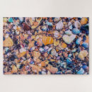Search for sea shell puzzles Pebbles