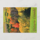 Search for autumn forest postcards Colours