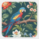 Search for colourful parrot stickers Nature