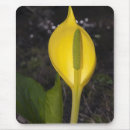 Search for cabbage mousepads Flower