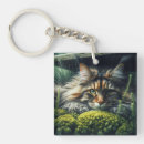 Search for fluffy square key rings Cute