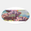 Search for orange poppies stickers Red