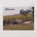 Search for silos postcards Country