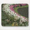 Search for amaryllis mousepads Botanical