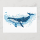 Search for mammals postcards Whale