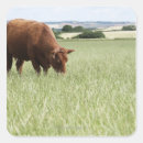 Search for farm scene stickers Outdoors