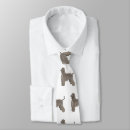 Search for afghans ties Afghanistan