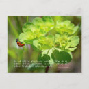 Search for fotos postcards Postkarte