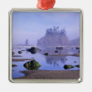 Search for olympic national park christmas tree decorations Pacific