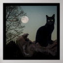 Search for cat full moon posters Night