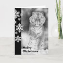 Search for tiger christmas cards Wildlife