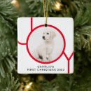 Search for dog lovers christmas tree decorations Cute
