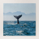 Search for whale puzzles Wildlife