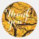 Search for veins stickers Tree
