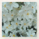Search for bulb coasters White