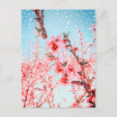 Search for pink petals postcards Peach