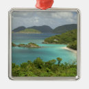 Search for trunk christmas tree decorations Virgin islands national park
