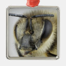 Search for african on christmas tree decorations Animals