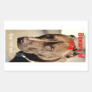 Search for warning beware gift wrap Dog