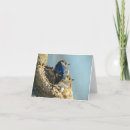 Search for cuddly cards Nature