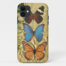 Search for collection cases Butterflies