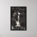Search for moss canvas prints Nature