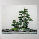 Search for bonsai posters Garden