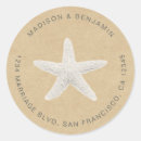 Search for beach envelope seals Starfish