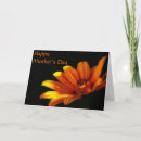 Search for orange mothers day cards Flower