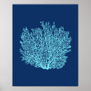 Search for sea fan art Sealife