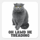 Search for treads stickers Funny cat