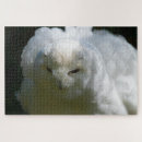 Search for owl puzzles Bird lover
