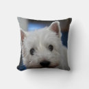 Search for westie cushions White