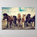 Search for wild horse posters Animal