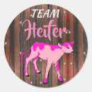 Search for heifer stickers Cute