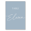 Search for dusty blue table cards Script