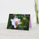 Search for phalaenopsis cards Purple
