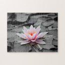 Search for lotus puzzles Floral