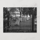 Search for graveyard cards invites Fall