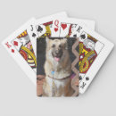 Search for german photography Gsd