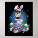 Search for brown eggs posters Bunnies