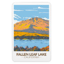Search for fall magnets Souvenir