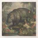 Search for hippos coasters Hippopotamus