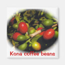 Search for kona magnets Hawaii