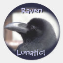 Search for the raven stickers Humourous